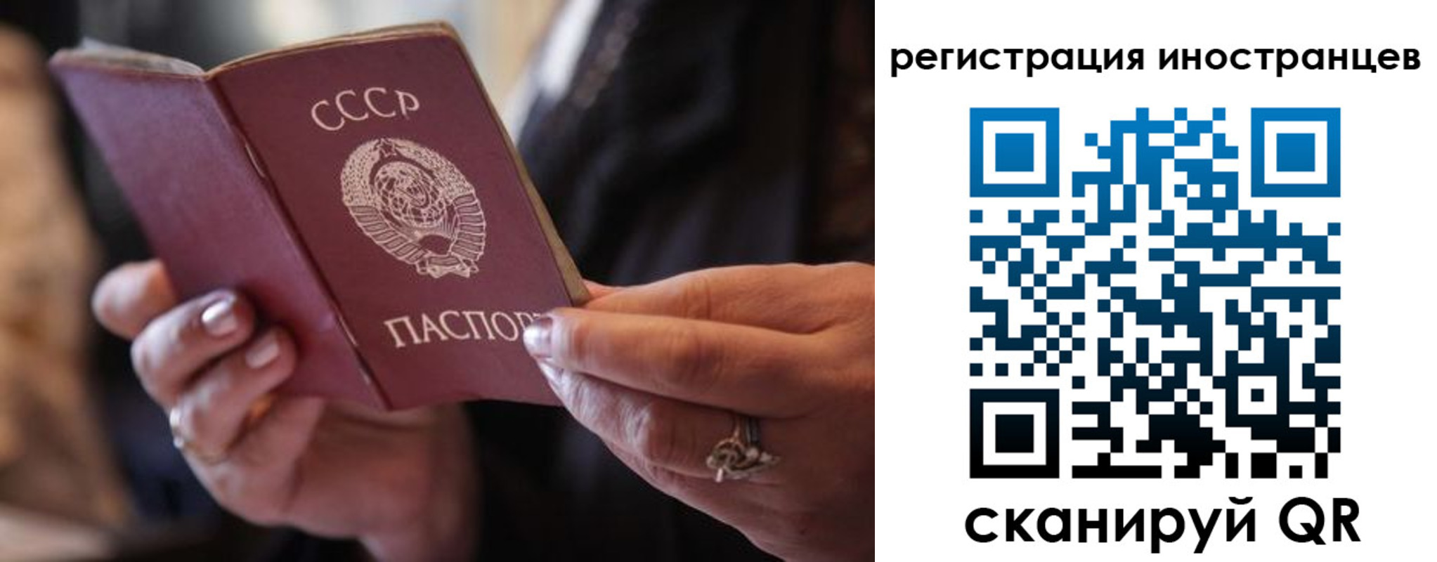 где прописаться в Ардоне